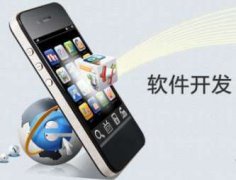 软件开发APP开发软件开发