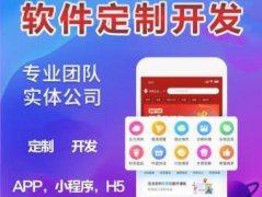 软件开发游戏app网站建设H5商城